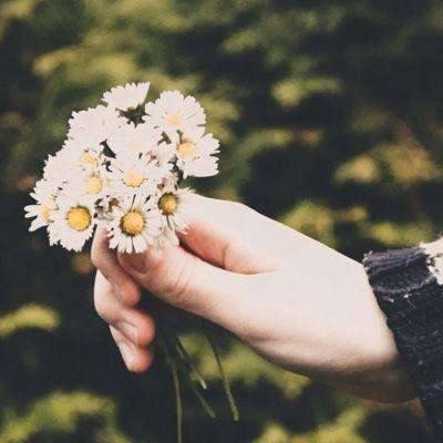 云开平台app最新版